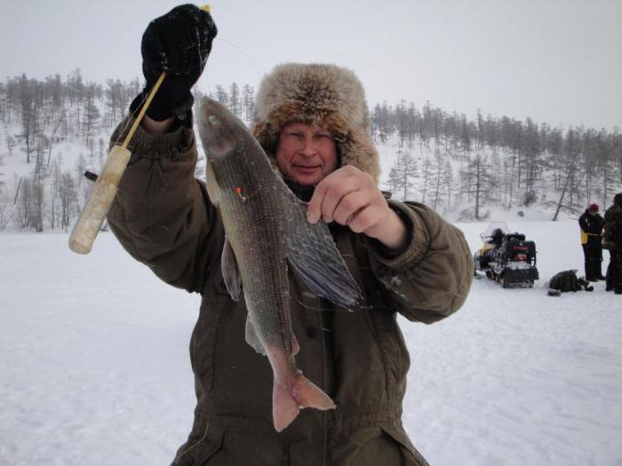 лов и риболов в Сибир